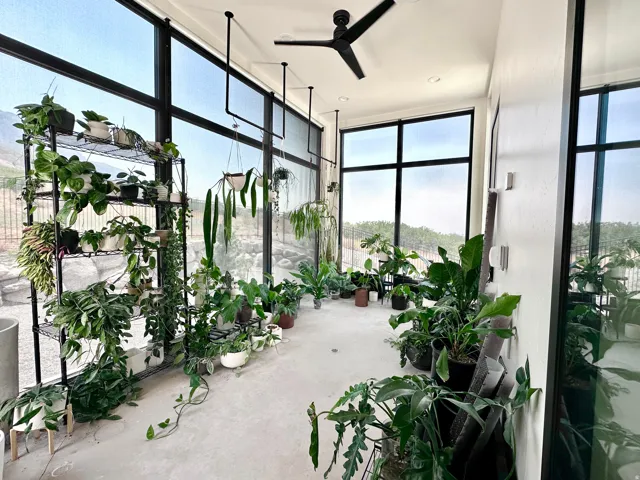 Floor-to-ceiling windows, black window frames, ceiling fan, recessed lighting, and light-toned flooring