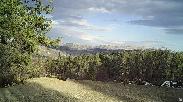 Natural landscape featuring evergreen trees and distant mountains under a partially clouded sky