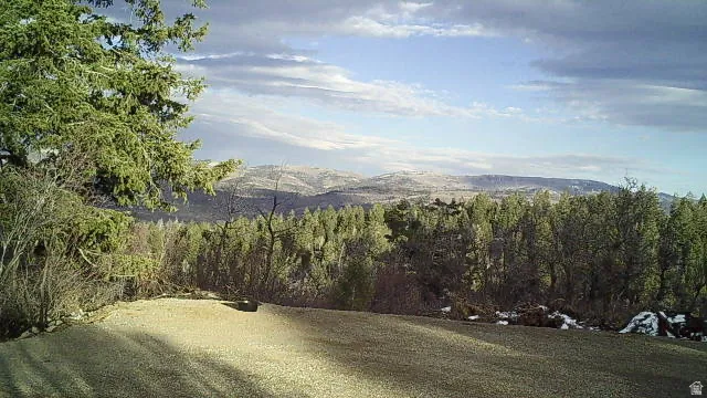 Expansive landscape featuring distant mountains and a dense evergreen forest