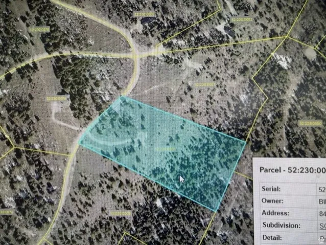Real Estate Mapping Interface, Parcel Information Display. Presenting the property boundaries and associated ownership details