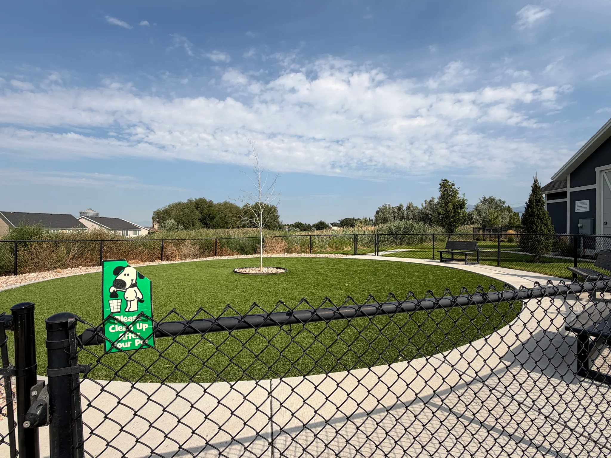 Fenced turf area with a winding concrete path and perimeter landscaping