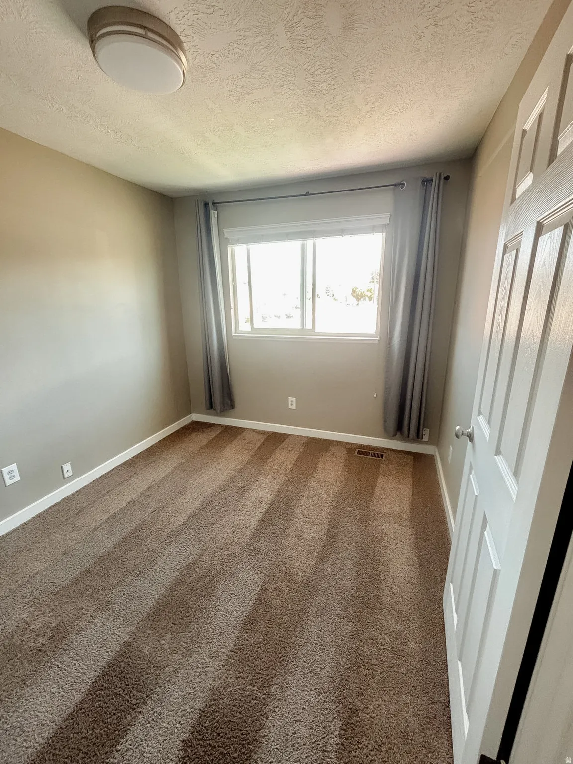 Wall-to-wall carpeting with a neutral finish