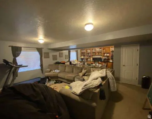 Built-in wood shelving with integrated cabinetry, flush-mount lighting, and white interior door