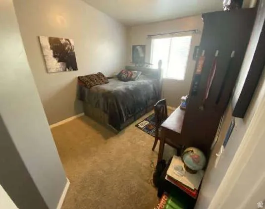 Window with horizontal blinds, neutral-toned carpet, and painted walls