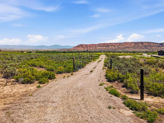 Gravel drive with a metal gate and fencing, surrounded by extensive natural landscaping