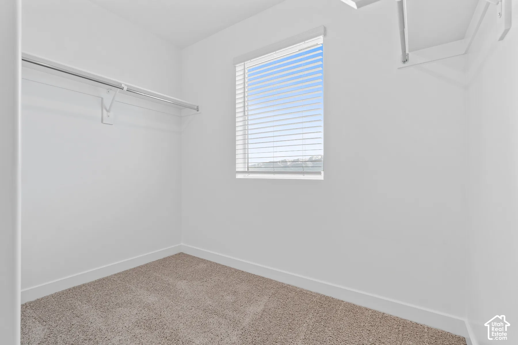 Carpeted flooring, white walls, built-in shelving, white window blinds