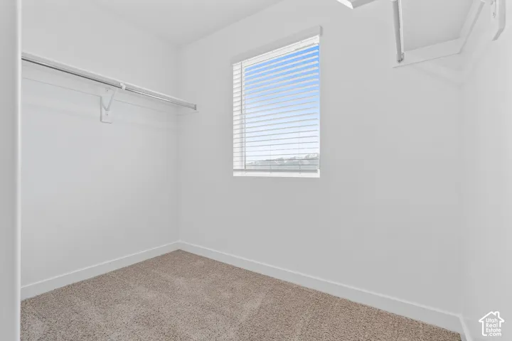 Carpeted flooring, white walls, built-in shelving, white window blinds