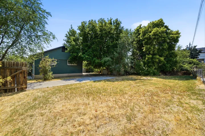 Expansive rear yard with mature trees and a paved driveway