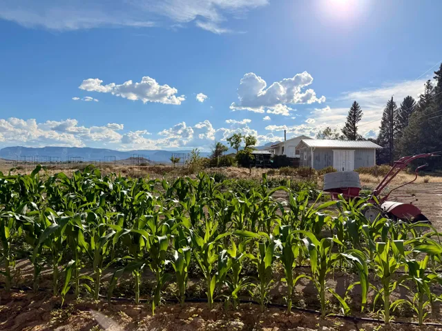910 E Clawson Bench Rd, Clawson, Utah 84516