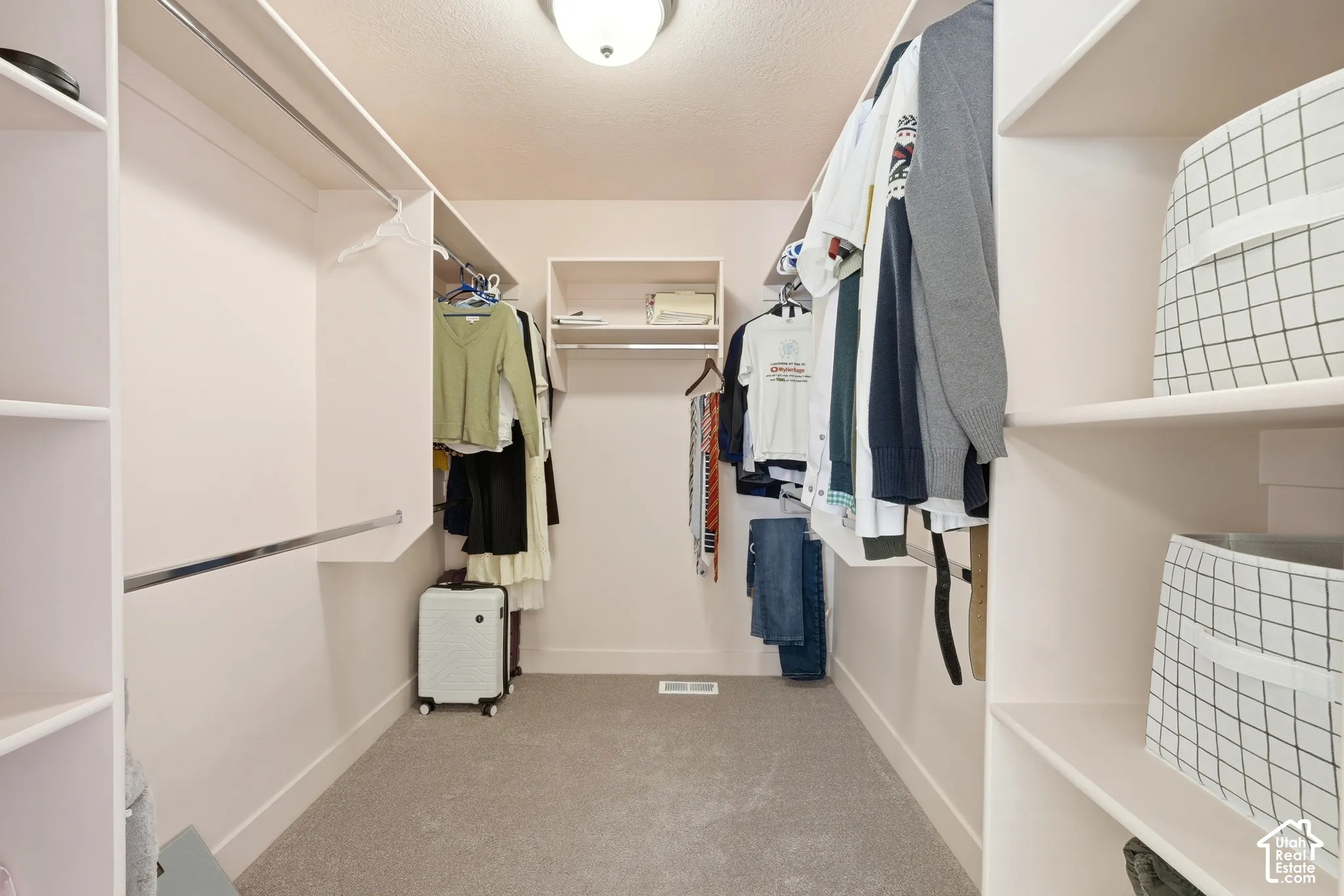 Walk-in closet with carpet flooring, built-in shelving, and hanging rods