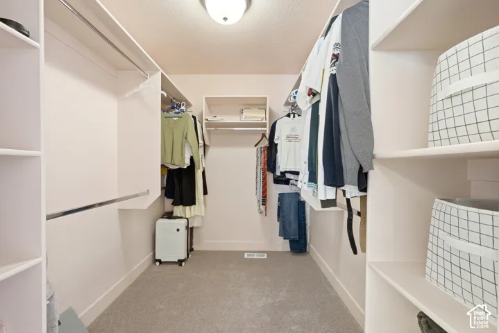 Walk-in closet with carpet flooring, built-in shelving, and hanging rods