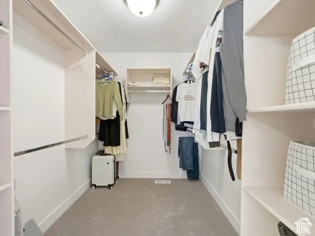 Walk-in closet featuring wall-to-wall carpeting, white built-in shelving, overhead lighting, and dual-level metal hanging rods