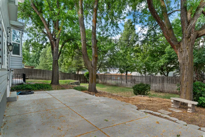 Expansive concrete patio with mature trees and wood fencing