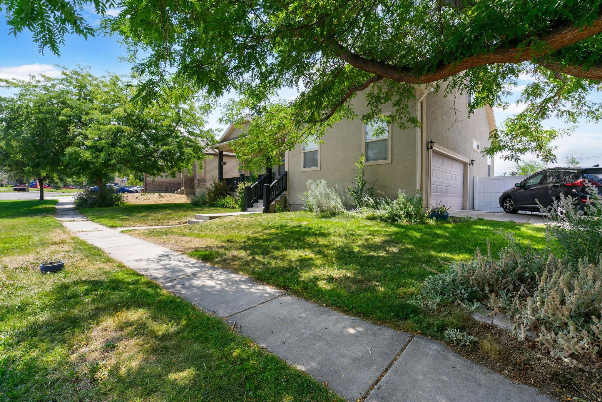 Stucco exterior with an attached garage, a mature tree providing shade, a concrete walkway, and established landscaping