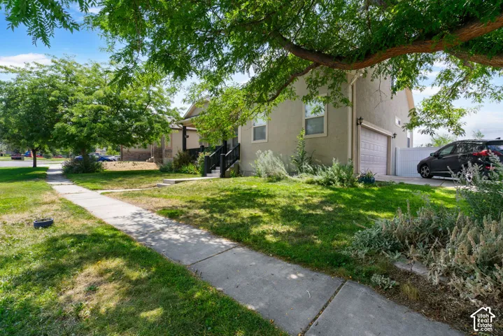 Stucco exterior with an attached garage, a mature tree providing shade, a concrete walkway, and established landscaping