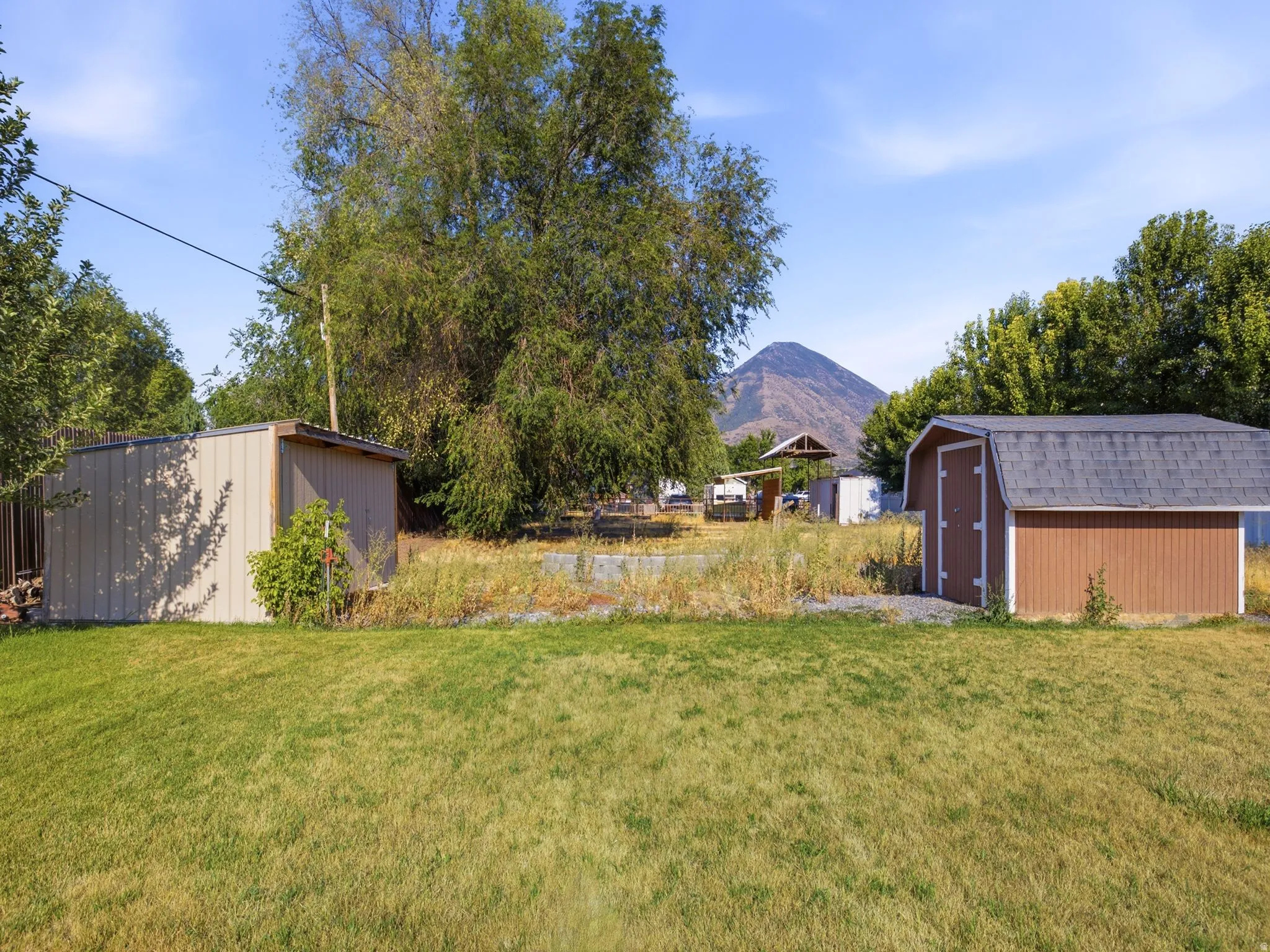 2 storage sheds, apple treet, and a garden bed. Expansive grassy area with two storage sheds, surrounded by mature trees, and a distant mountain backdrop