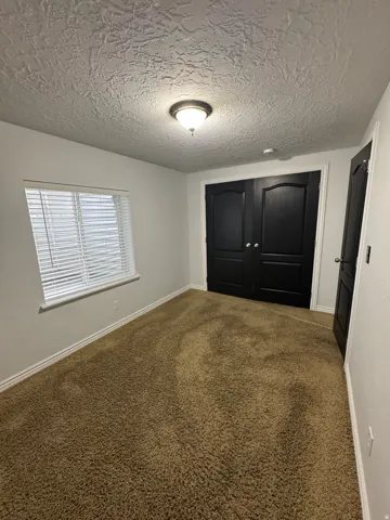 Textured ceiling with a flush-mount light fixture, dark wood-finish double doors, light-colored walls, and brown carpeting