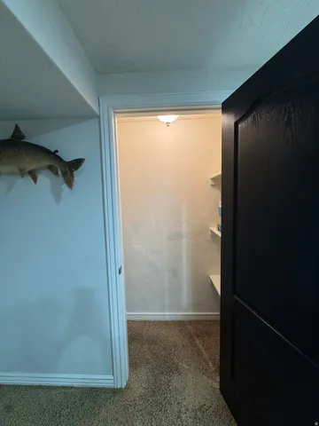 Recessed closet with built-in shelving, overhead lighting, and carpet flooring