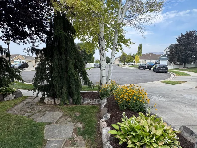 Stone pathway, mature trees, landscaped garden, rock retaining wall, ornamental plantings