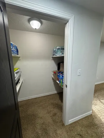 Recessed storage area with built-in shelving, overhead lighting, and carpet flooring