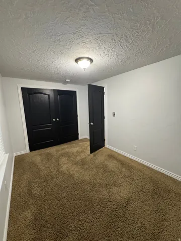 Wall-to-wall carpeting with light-toned walls and dark interior doors, featuring a flush mount ceiling light