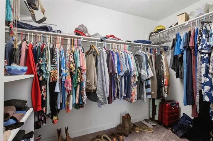 Walk-in closet with carpet flooring, white walls, and built-in shelving