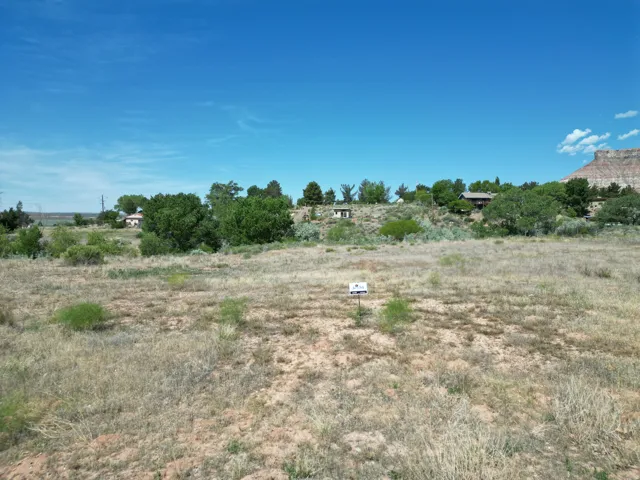 Expansive undeveloped lot with natural ground cover