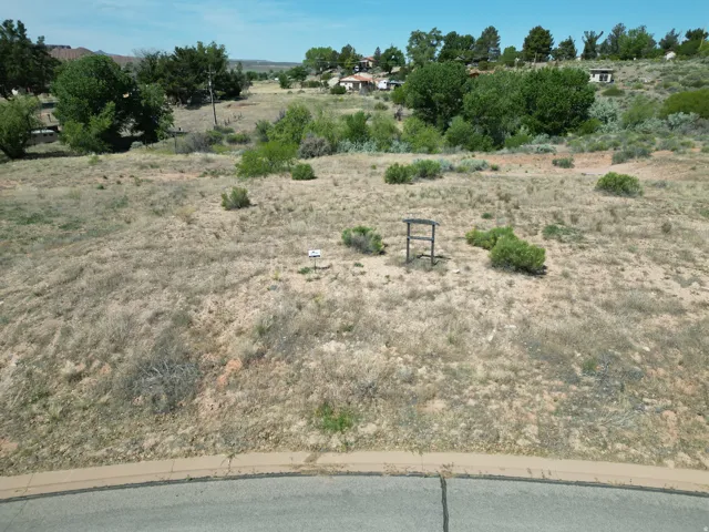 Paved street frontage with curb, undeveloped land, and distant residential structures
