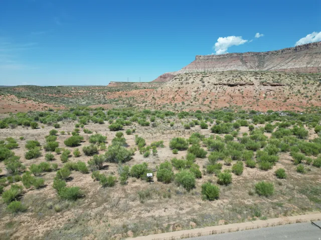 Expansive desert landscape with scattered green vegetation and distant rock formations
