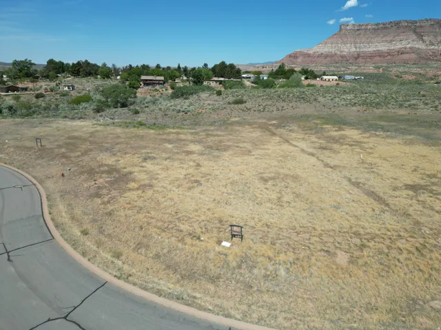 Expansive undeveloped lot featuring natural landscaping and a paved road border