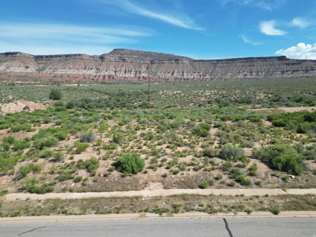 Expansive undeveloped land with natural shrubbery and a prominent mountain backdrop