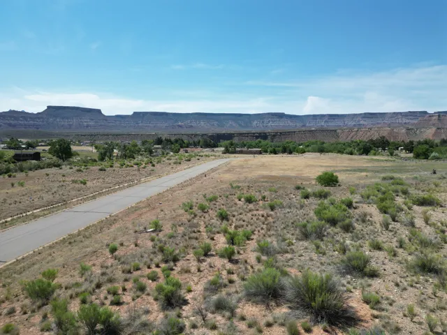 Expansive desert landscape with mature vegetation, featuring a paved road and distant mountainous terrain