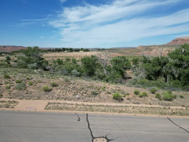 Expansive desert landscape with natural vegetation and distant mesa formations