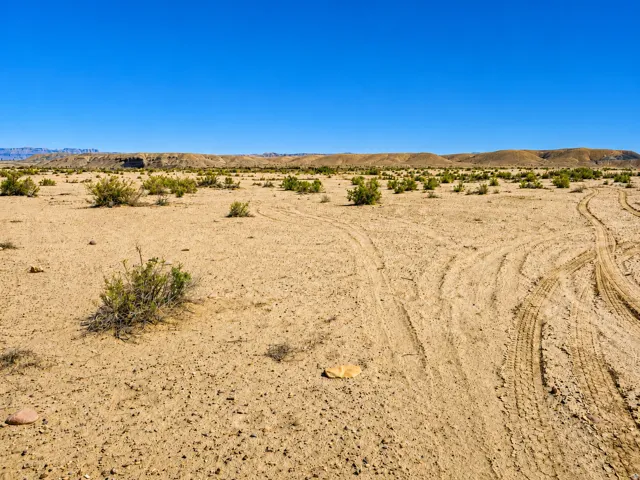 Expansive desert landscape with scattered low-lying vegetation and distant geological formations