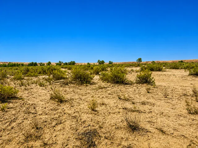 Expansive undeveloped land featuring natural desert vegetation