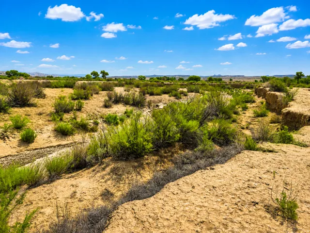 Expansive desert landscape featuring natural vegetation and distant land formations under a clear sky