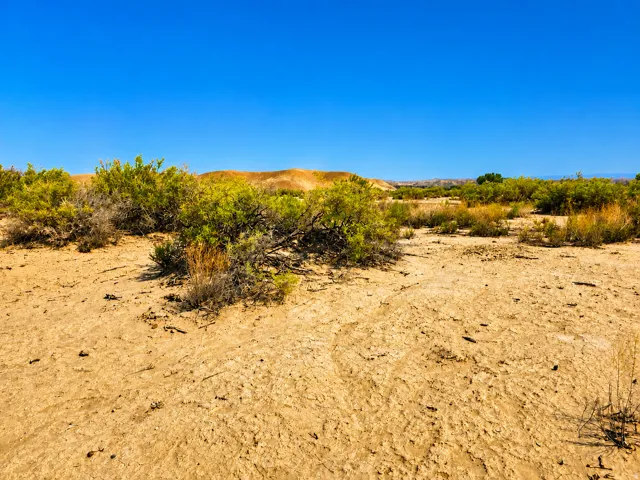 Expansive land with natural ground cover and distant rolling hills