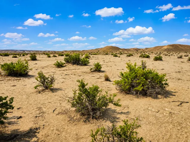 Expansive desert landscape with scattered green shrubbery and distant rolling hills