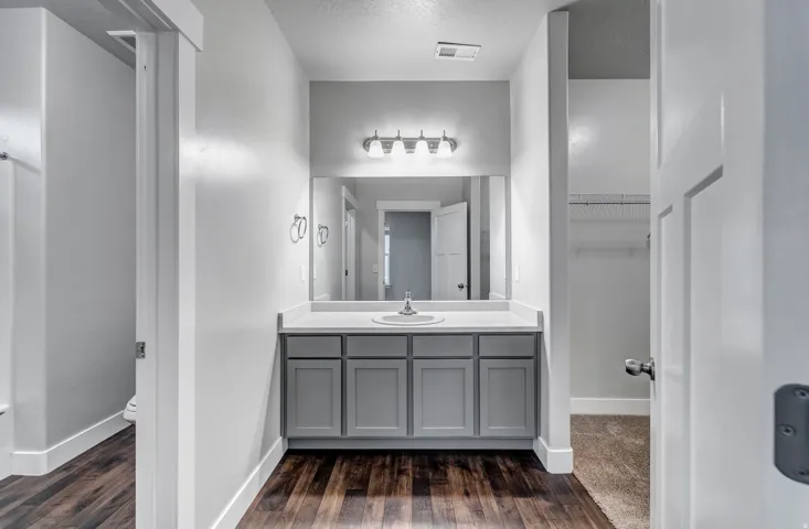 Vanity with a single basin sink, light gray cabinetry, and a full-width mirror
