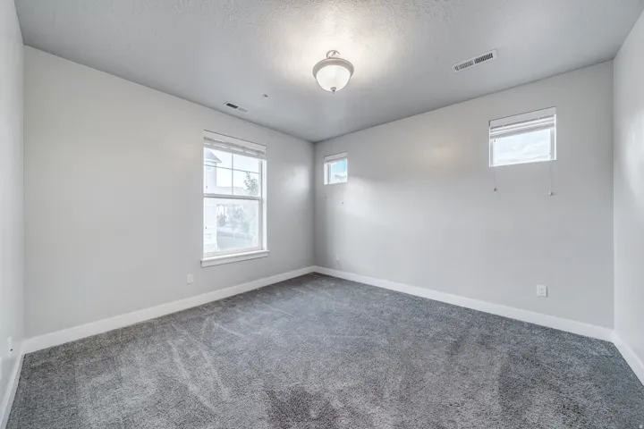 Light gray wall paint, gray carpeting, multiple windows, and a semi-flush mount ceiling light