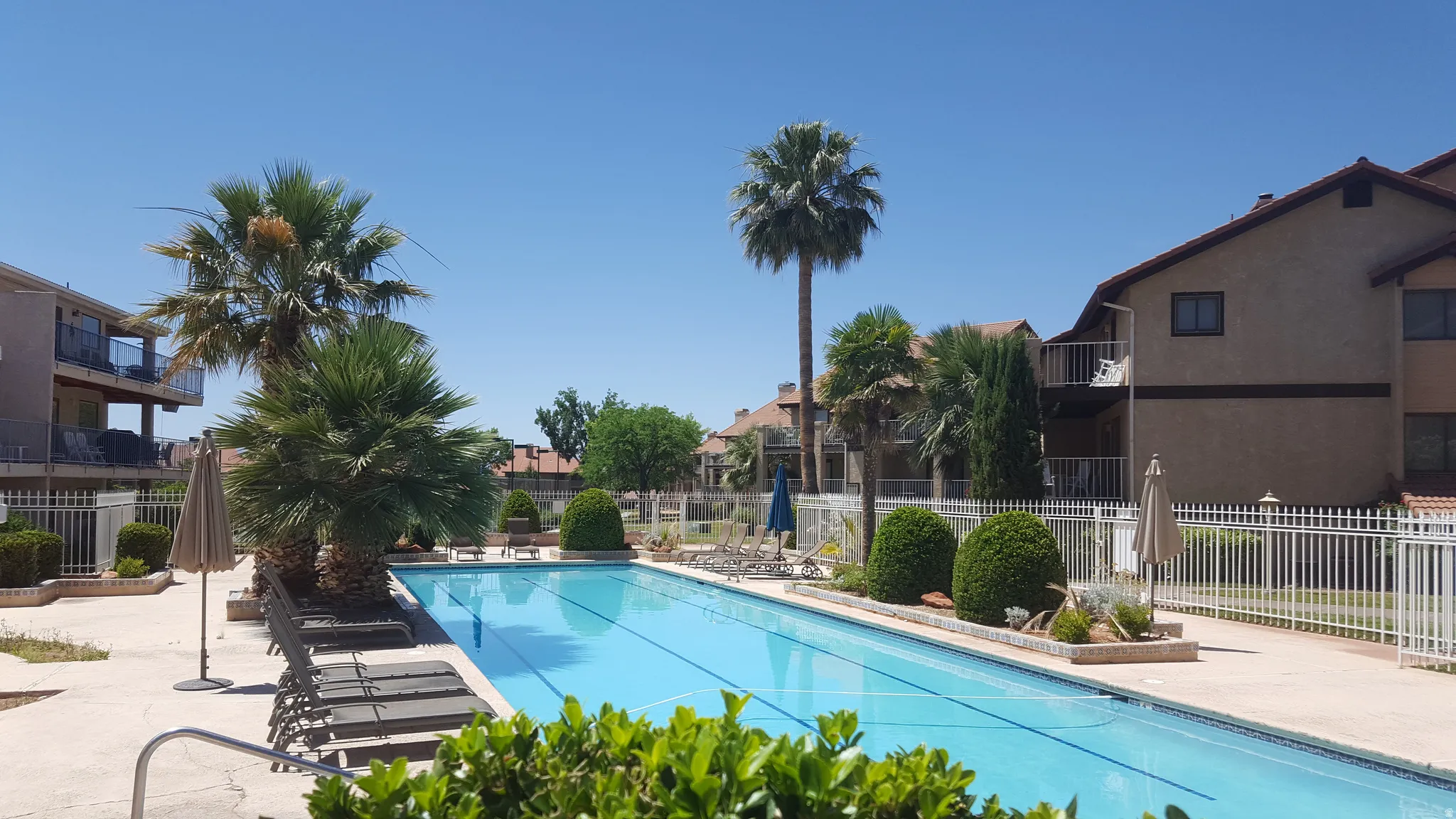 Outdoor swimming pool with integrated lap lanes, surrounded by a paved deck and mature palm trees