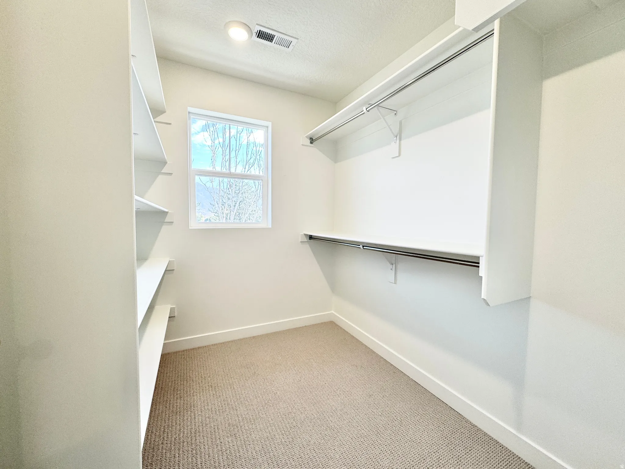 Recessed lighting, window, built-in shelving, hanging rods, and carpeted flooring