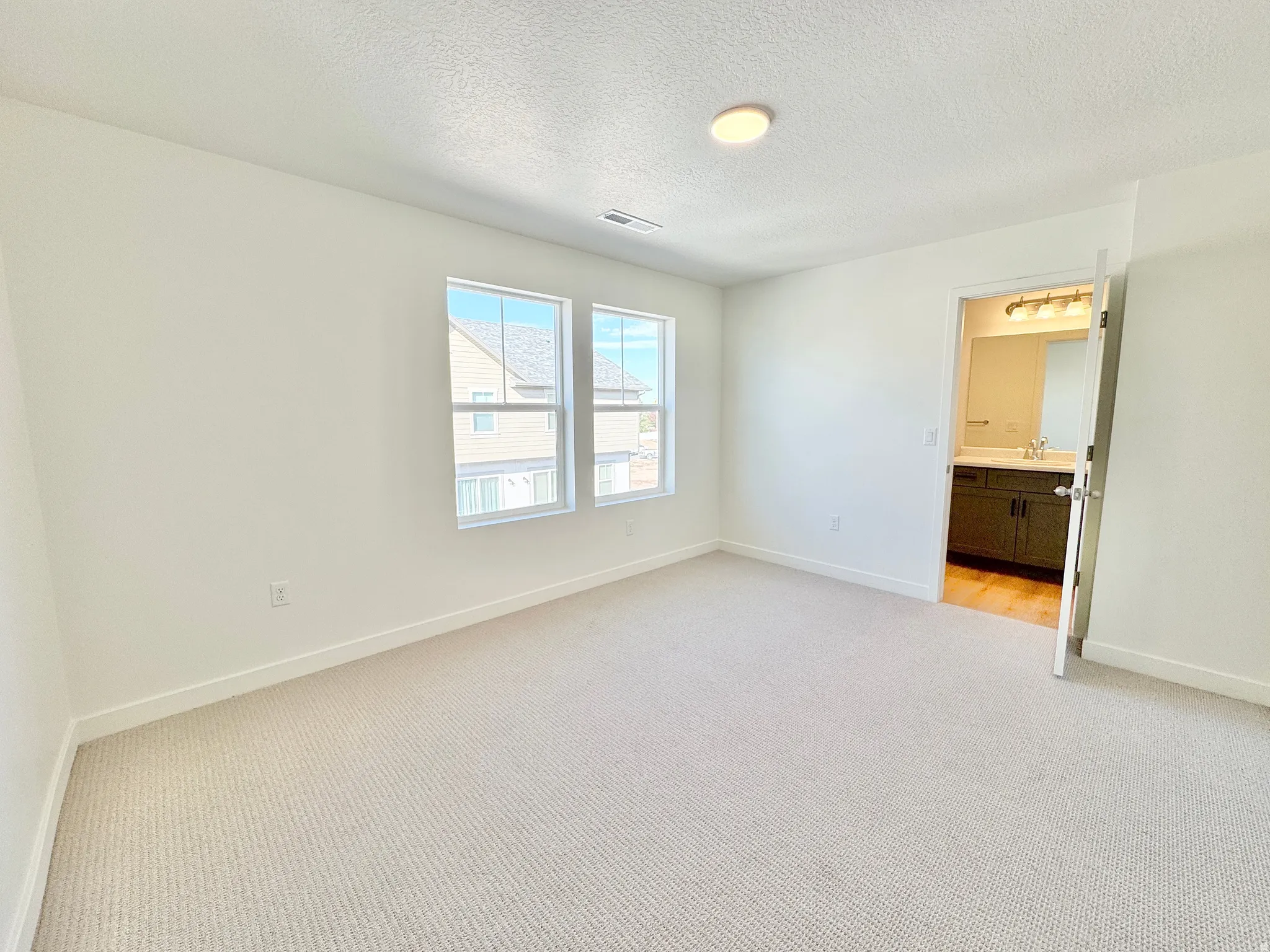 Plush carpet flooring, bright white walls, two large windows, and a ceiling-mounted light fixture