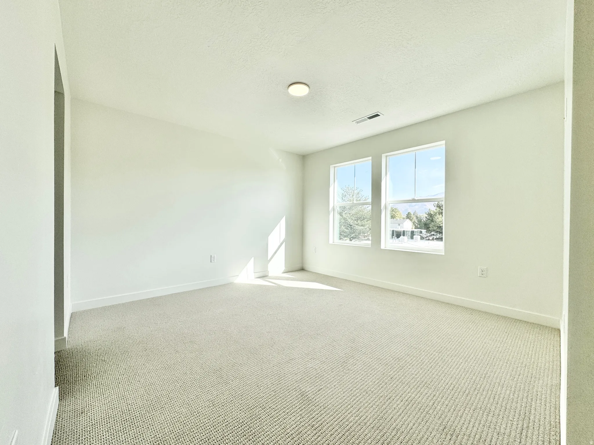 Spacious room featuring neutral carpeting and abundant natural light from two windows