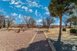 Gravel walkway with concrete border, mature trees, and natural landscaping