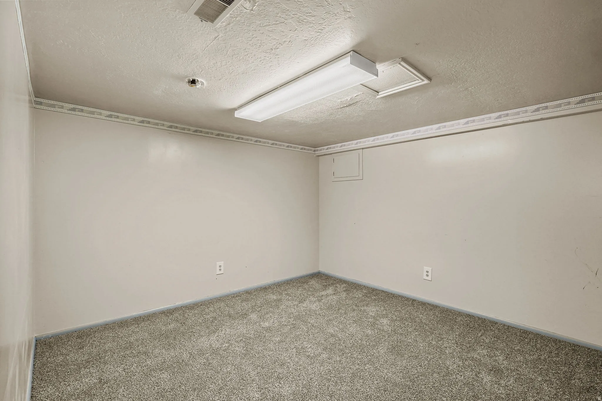Recessed access panel, wall-to-wall carpeting, and fluorescent ceiling fixture