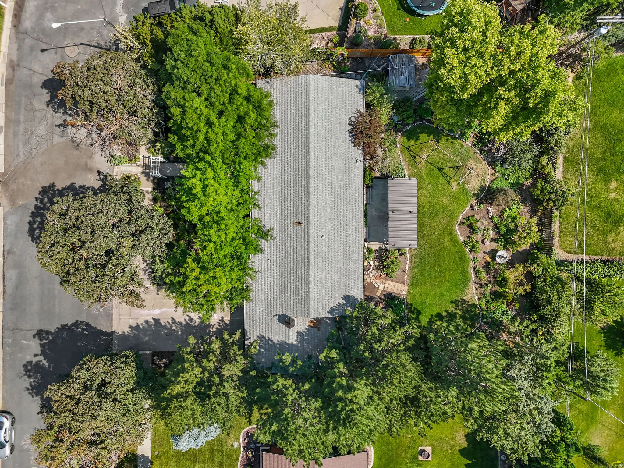 Aerial view of a residential lot featuring a light-colored roof structure surrounded by mature landscaping, including established trees and manicured lawn areas