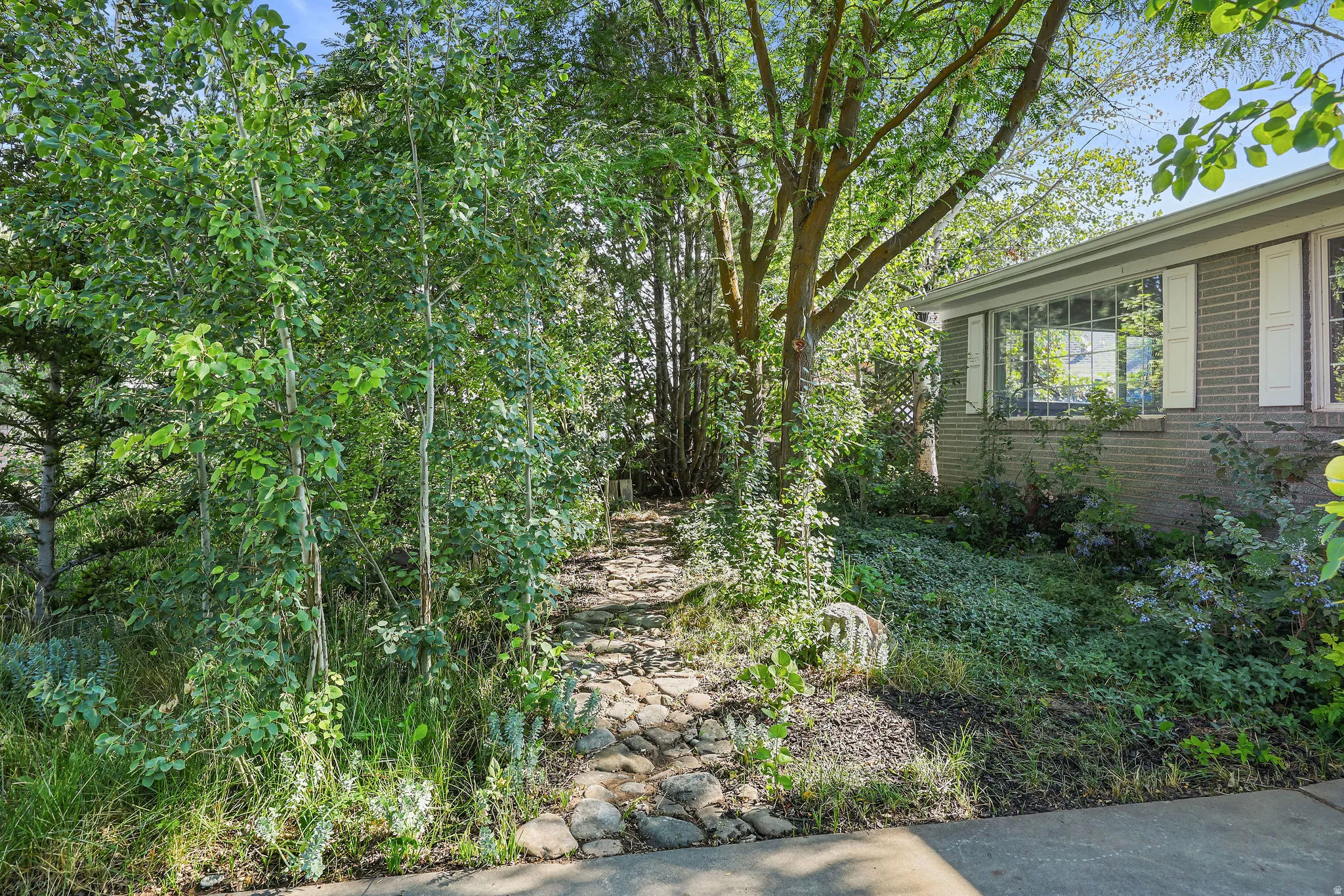 Stone pathway amidst lush landscaping