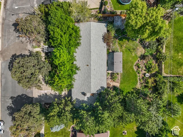 Aerial view of a residential lot featuring a light-colored roof structure surrounded by mature landscaping, including established trees and manicured lawn areas