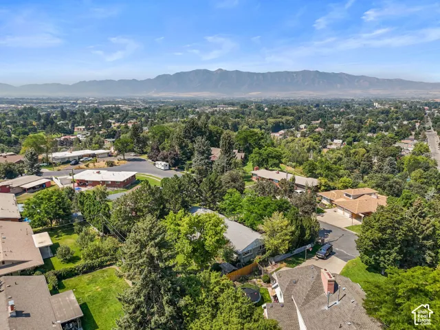 Expansive suburban setting with established trees and mountain backdrop